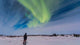 Aurora Borealis under bright moonlight in Churchill, Manitoba Poster Print by Alan Dyer