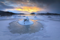 Frozen fjord in Tjeldsundet strait, Troms County, Norway poster print.