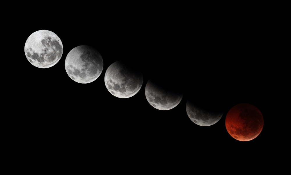 Composite image of the 2010 Total Lunar Eclipse stages poster print.