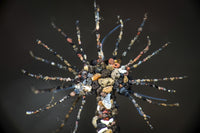 Windmill worm covered in sand particles from Tulamben, Bali - Poster Print by Brook Peterson