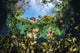 Garden of Lilies at Nicte Ha Cenote Poster Print by Brook Peterson