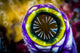 Sea Squirt Poster Print by Bruce Shafer showcasing vibrant underwater life.