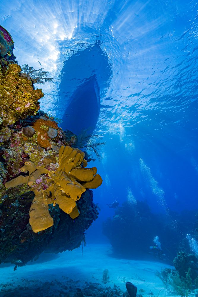 Divers, sponges, and dive boat on Little Cayman Island poster print by Bruce Shafer.