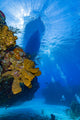 Divers, sponges, and dive boat on Little Cayman Island poster print by Bruce Shafer.