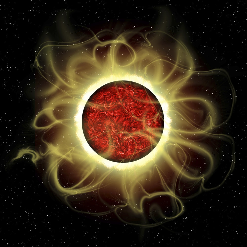 Illustration of the Sun's Magnetic Field Poster Print by Corey Ford