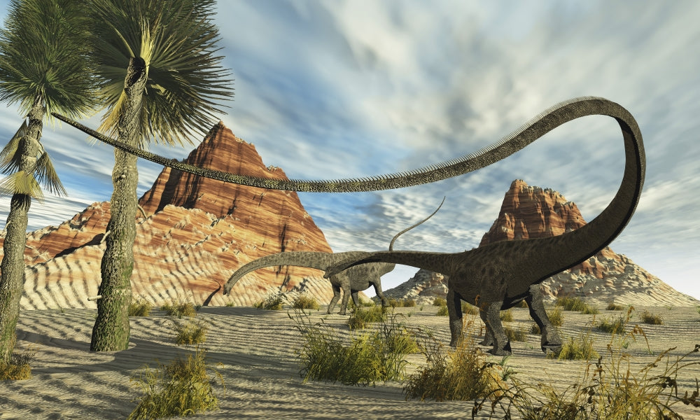 Poster print of two Diplodocus dinosaurs searching for food in a desert landscape.