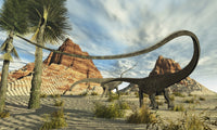 Poster print of two Diplodocus dinosaurs searching for food in a desert landscape.