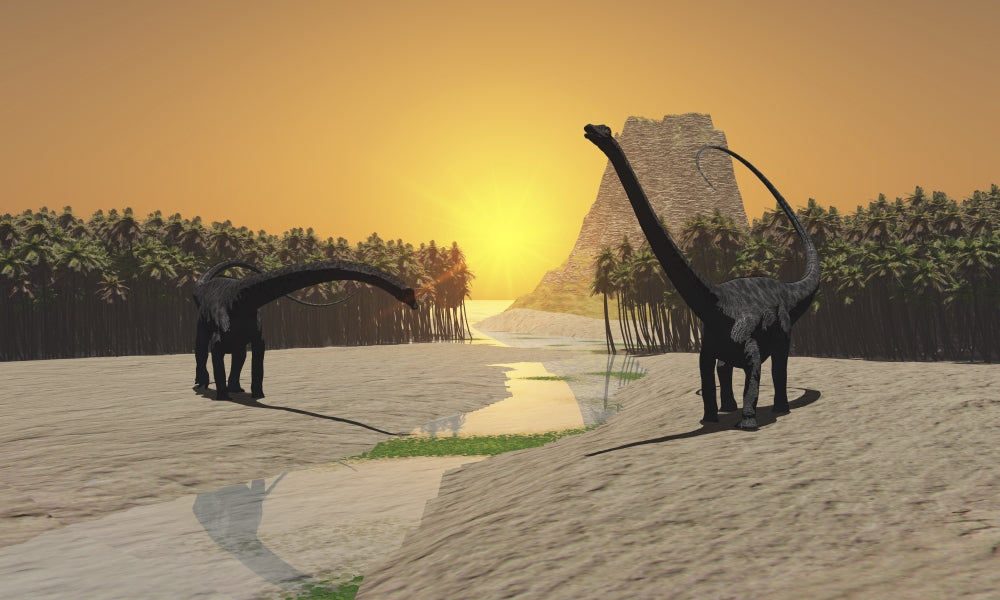 Poster print of Two Diplodocus dinosaurs drinking at a river in prehistoric times.