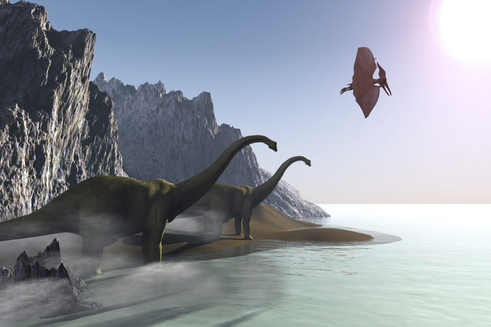 Two Diplodocus dinosaurs and a pterodactyl at the shore drinking water poster print.