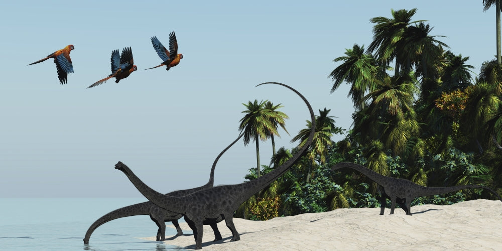 Three Diplodocus dinosaurs at the water's edge poster print