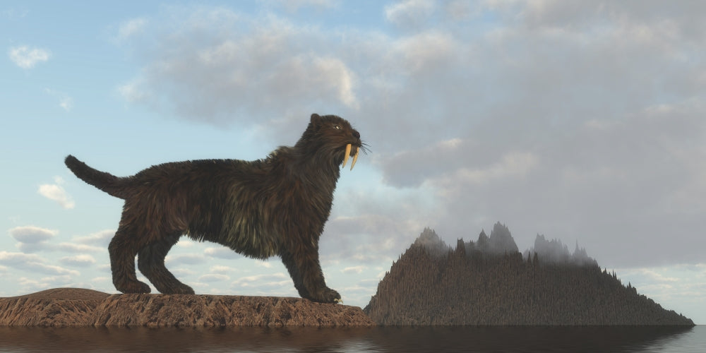 Saber Tooth Cat Extinct Feline Poster Print showcasing prehistoric wildlife.