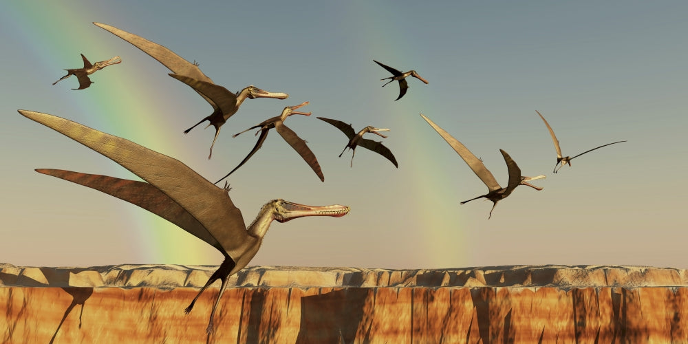 Flock of Pterodactyls flying out of a canyon poster print.