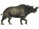 Brontotherium extinct herbivore poster print 16x12