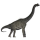 Brachiosaurus Jurassic Period Poster Print showcasing a dinosaur design.