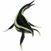 Dolichorhynchops carnivorous marine reptile poster print