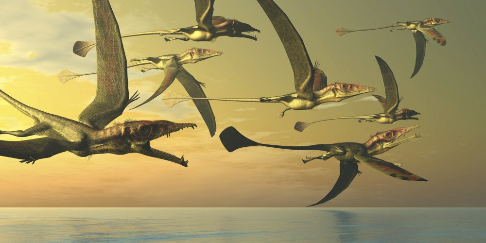 Eudimorphodon flying reptiles poster print showcasing prehistoric life.