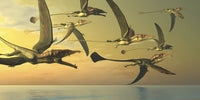 Eudimorphodon flying reptiles poster print showcasing prehistoric life.