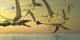 Eudimorphodon flying reptiles poster print showcasing prehistoric life.