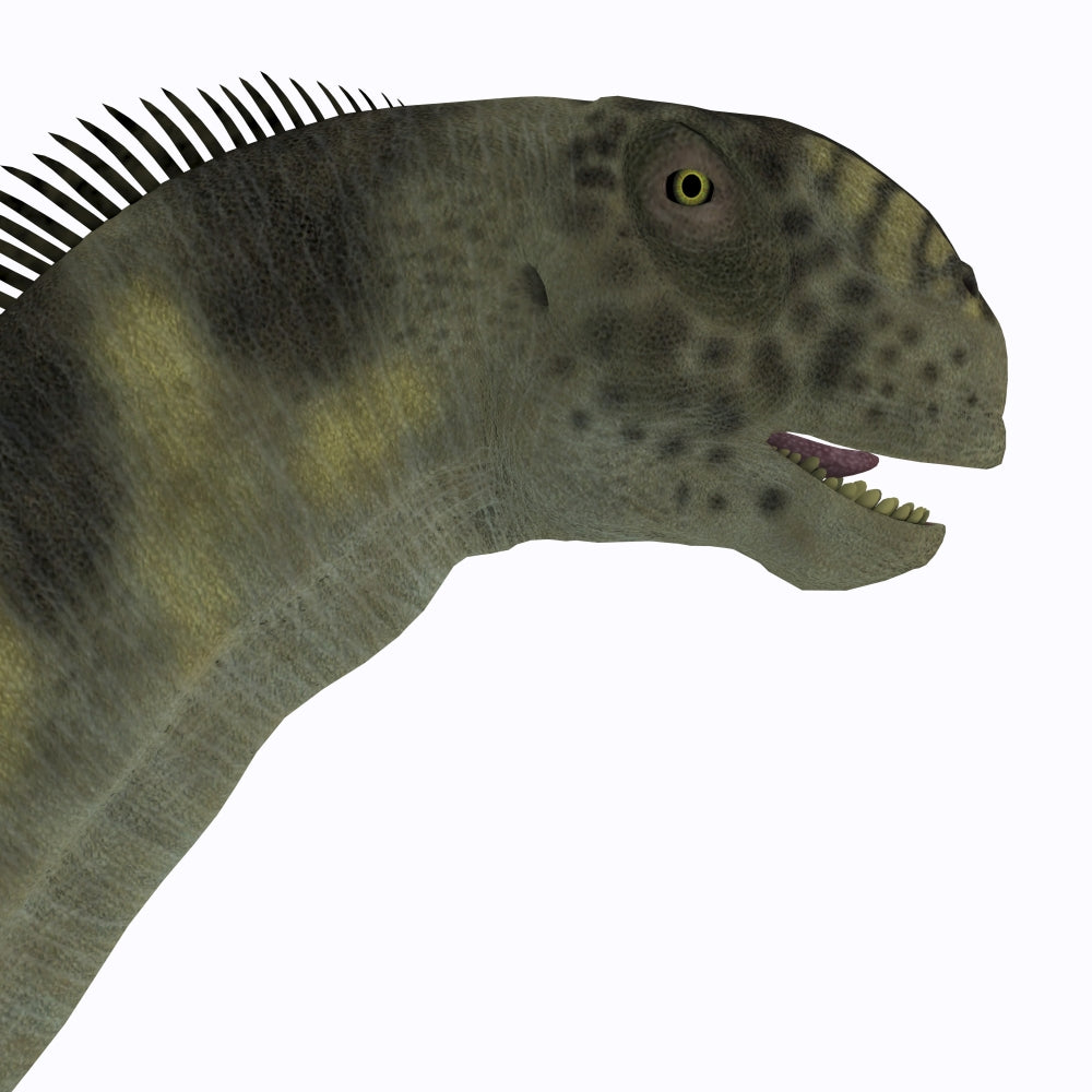 Camarasaurus dinosaur poster print, Jurassic Period artwork