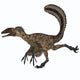 Deinonychus Carnivorous Dinosaur Poster Print