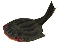 Drepanaspis extinct jawless fish poster print showcasing prehistoric marine life.