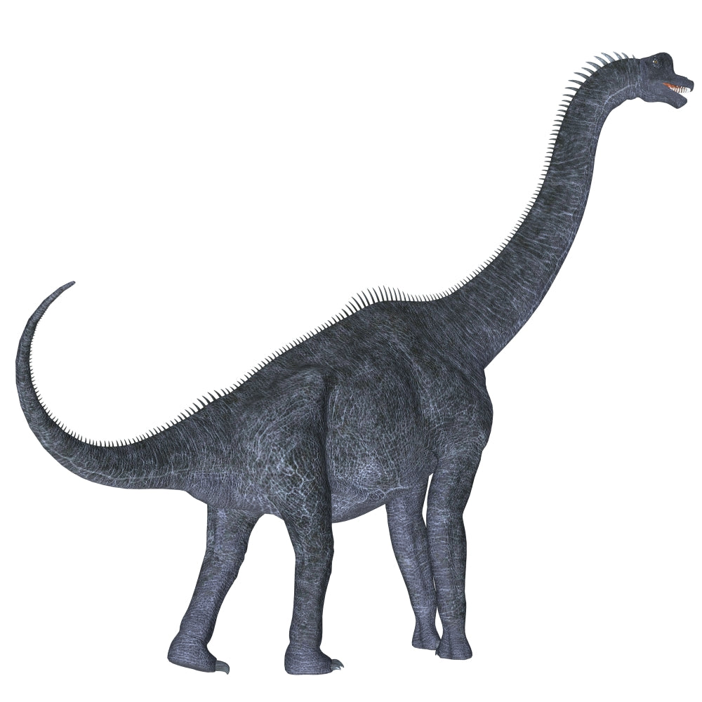 Brachiosaurus Jurassic Period Poster Print