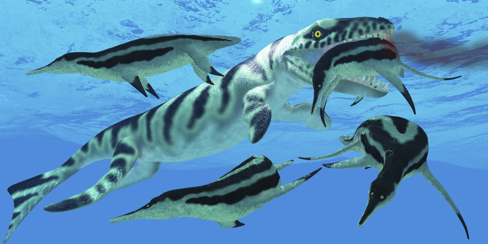 Dolichorhynchops plesiosaurs evading Dakosaurus in Cretaceous seas poster print.