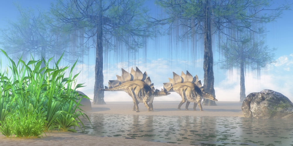 Stegosaurus walking near a pond on a misty Jurassic morning poster print.