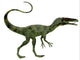 http://c328301.r1.cf1.rackcdn.com/PSTCFR200526PLARGE.jpg