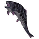 Dunkleosteus poster print depicting a prehistoric fish from the Devonian period.
