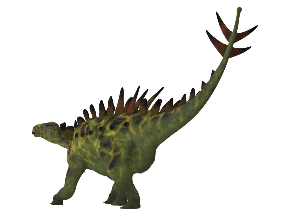 Huayangosaurus Dinosaur Poster Print featuring a Jurassic Period theme.