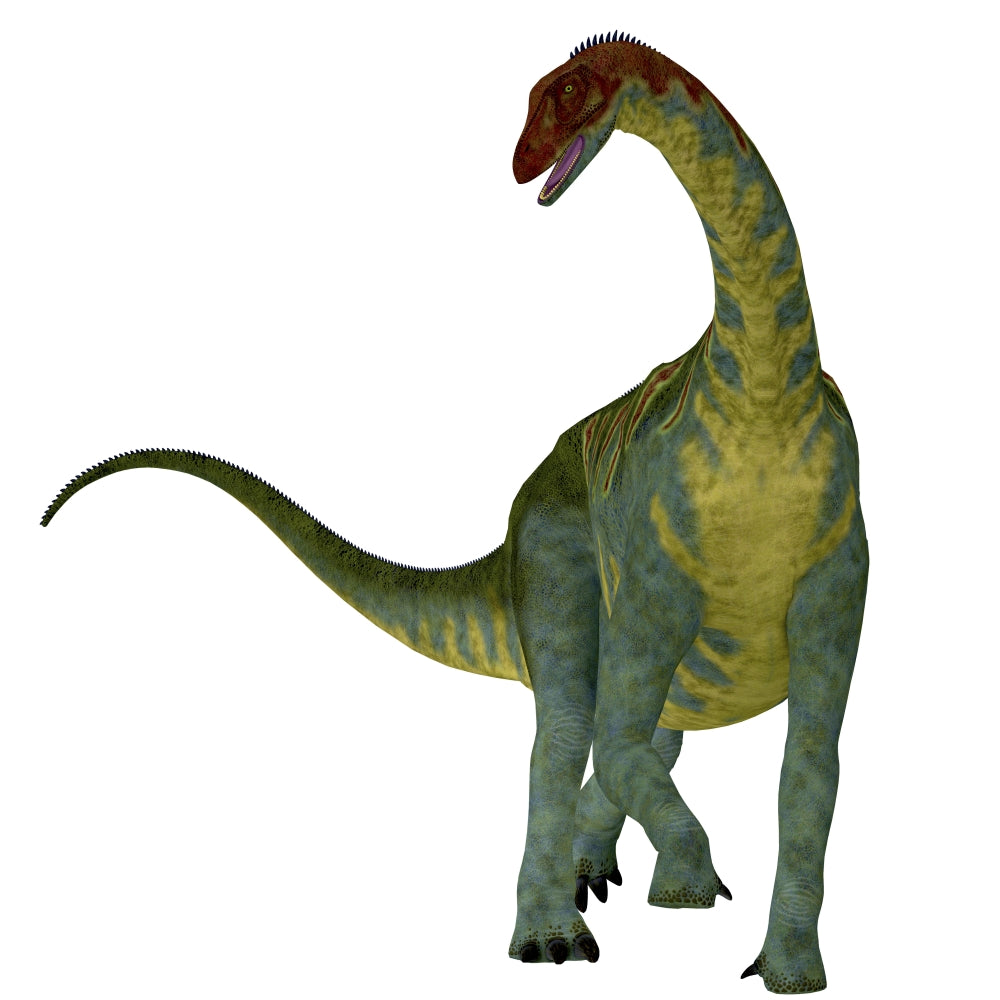 Jobaria Dinosaur Front View Poster Print - Jurassic Era Artwork