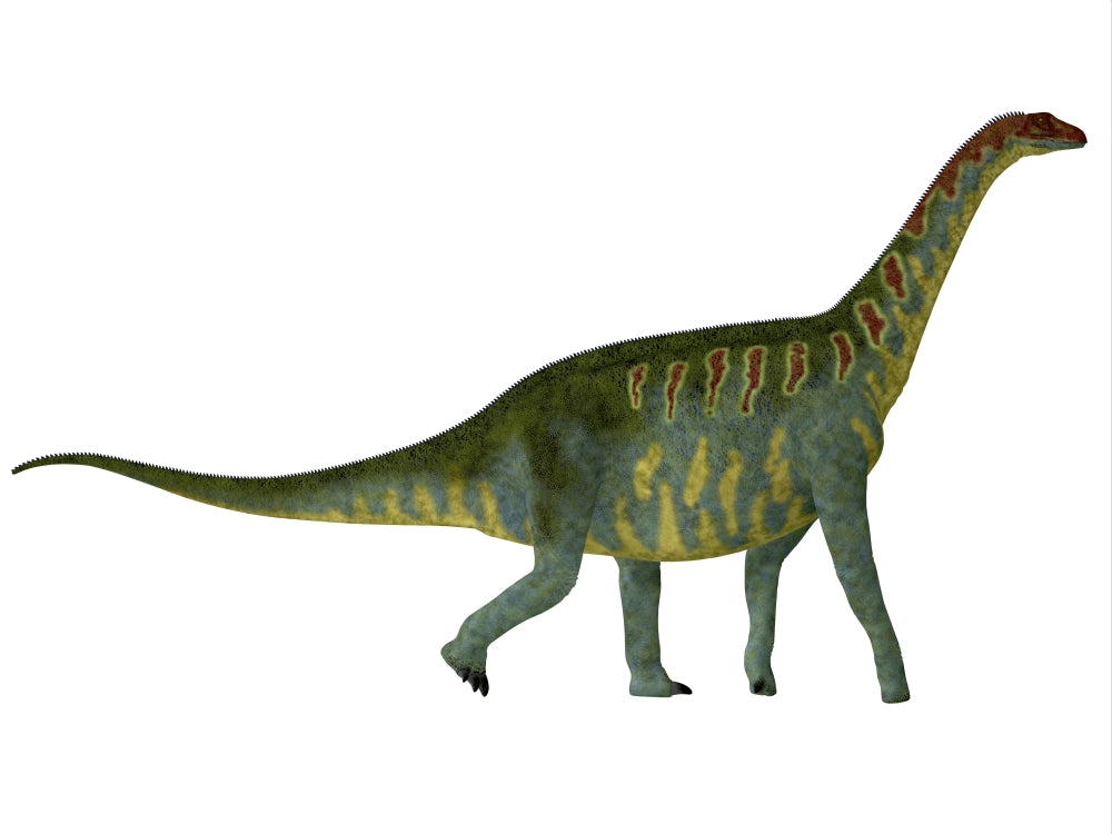 Jobaria Dinosaur Poster Print in side view, showcasing the herbivorous sauropod from the Jurassic Period.