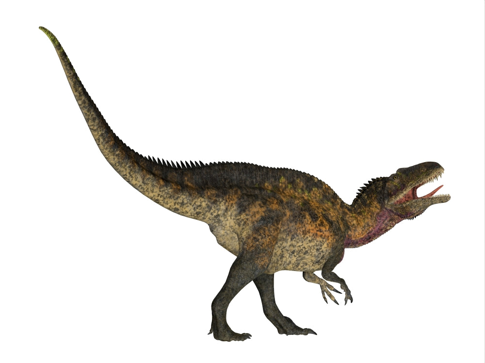 Acrocanthosaurus dinosaur poster print on white background.