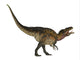 Acrocanthosaurus dinosaur poster print on white background.