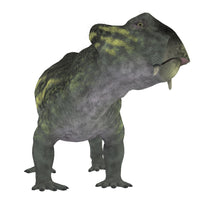 Lystrosaurus dinosaur front view poster print