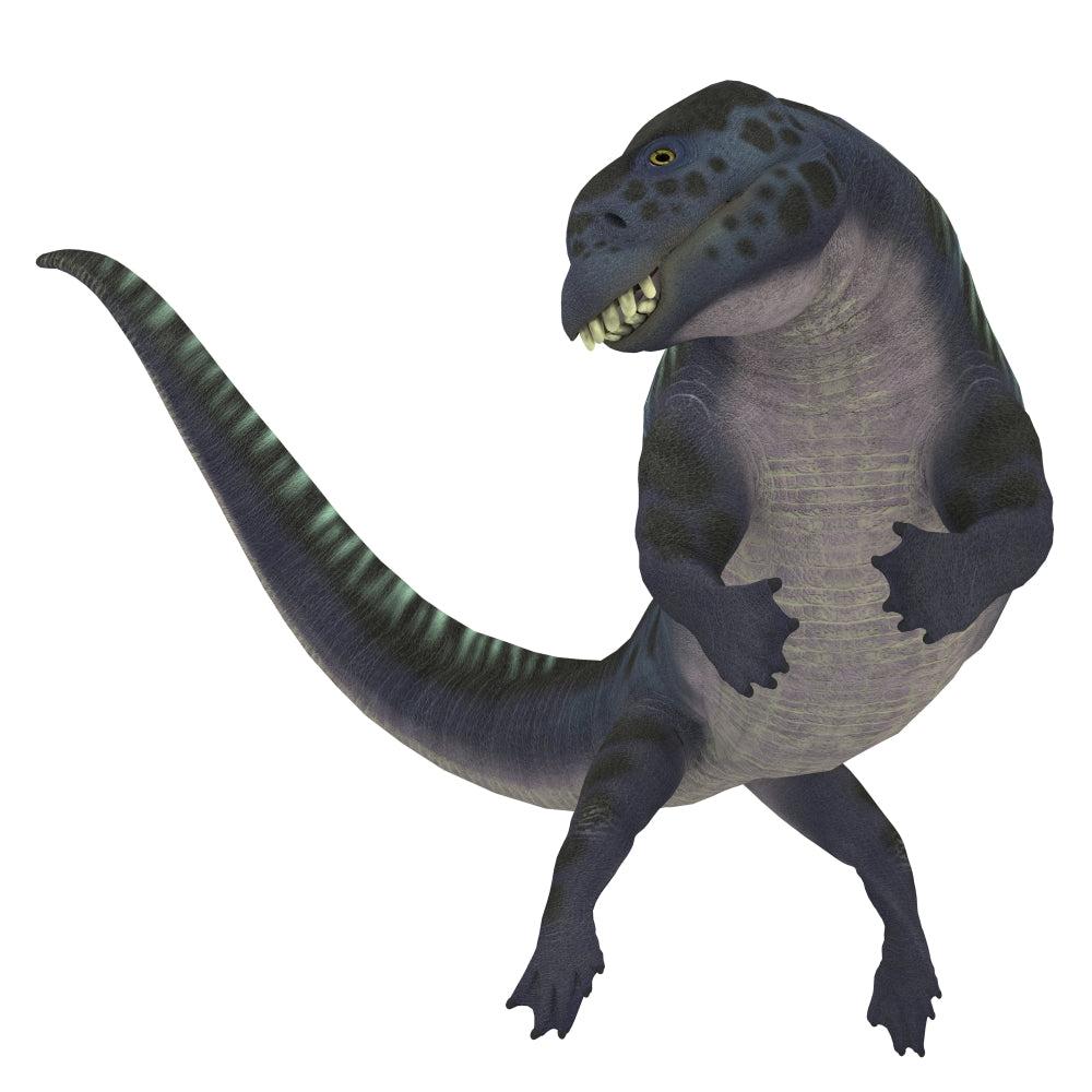 Placodus aquatic reptile poster print showcasing a Triassic marine reptile.