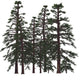 Prehistoric Araucarioxylon Tree Poster Print by Corey Ford showcasing ancient trees