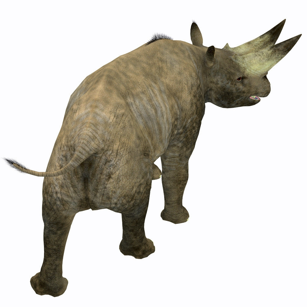 Arsinoitherium Mammal Poster Print - Rear View by Corey Ford
