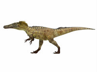 Austroraptor Dinosaur Side Profile Fine Art Print by Corey Ford