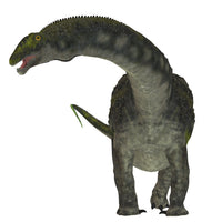 Diamantinasaurus dinosaur front view poster print by Corey Ford.