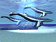 http://c328301.r1.cf1.rackcdn.com/PSTCFR300009U.jpg