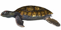 Vibrant Green Sea Turtle Poster Print showcasing ocean life