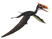 Dsungaripterus Flying Reptile Fine Art Print by Corey Ford