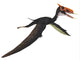 Dsungaripterus Flying Reptile Fine Art Print by Corey Ford