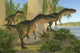 Monolophosaurus dinosaurs hunting on the shoreline poster print.