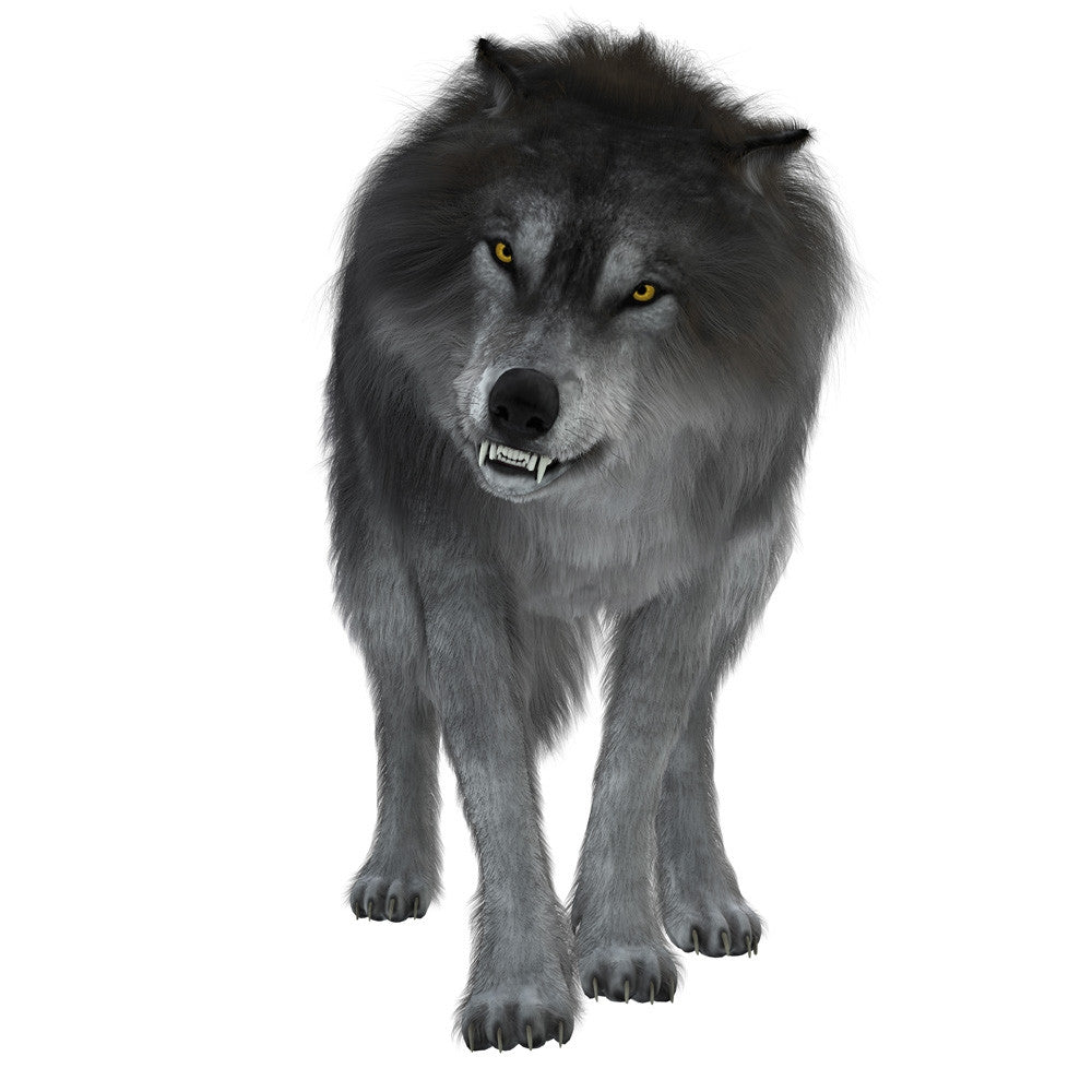 Dire Wolf Fine Art Print by Corey Ford | Stocktrek Images