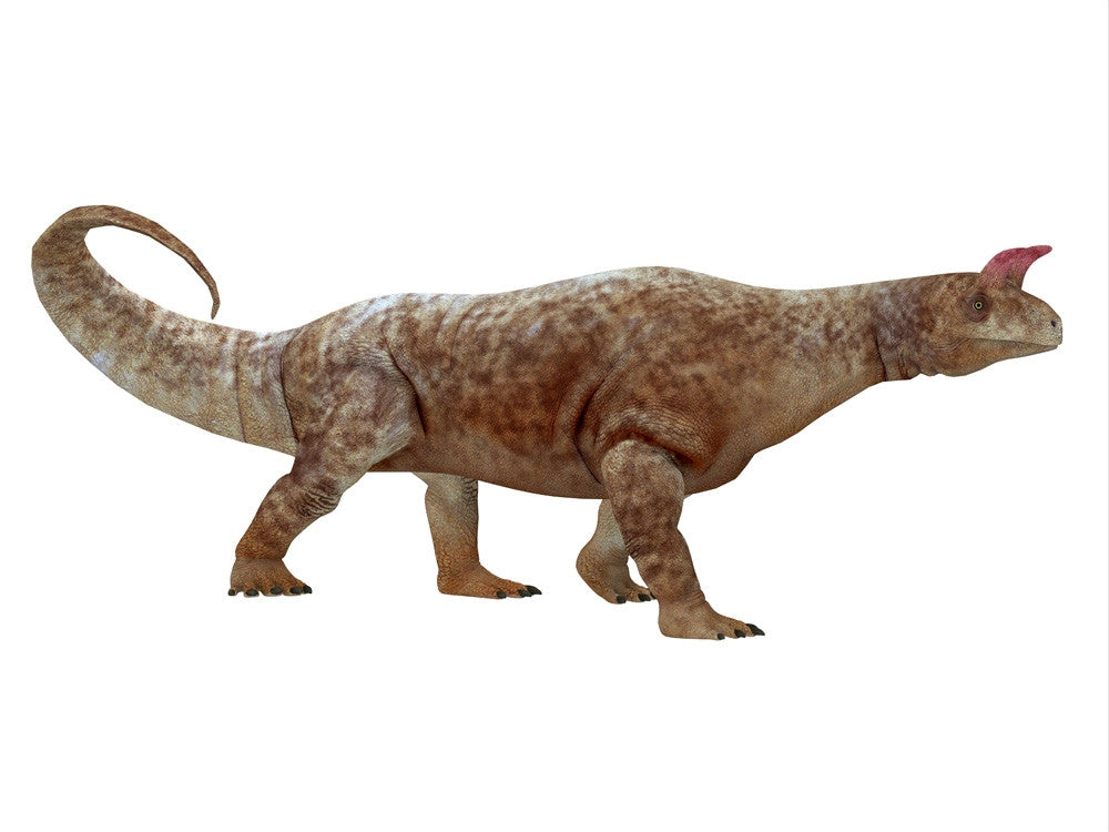 Shringasaurus Dinosaur Side Profile Fine Art Print by Corey Ford