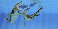 Coelacanth Fish Prey to Tylosaurus Marine Reptiles Print by Corey Ford
