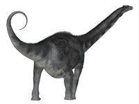 Argentinosaurus Dinosaur Rear View Fine Art Print by Corey Ford